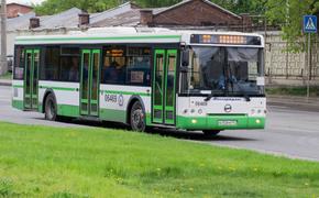 В Пушкине на пассажирский автобус упало дерево