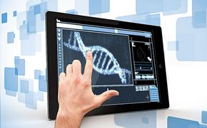 Хард из ДНК?