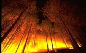 Поставкам нефти мешают лесные пожары в Канаде