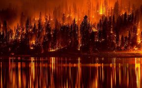 Greenpeace: масштабы лесных пожаров в РФ в СМИ преуменьшены в 11 раз