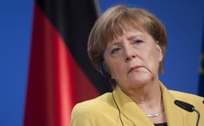 Почти "Крёстный отец": к приёмной Меркель подбросили свиную голову