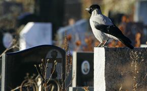 Хованское кладбище вновь работает в штатном режиме