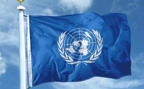 В некоторые районы Украины Киев экспертов ООН не пустил