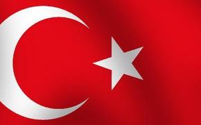 Турция отозвала своего посла из Германии для консультаций