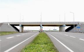 В Петербурге в створе улицы Димитрова в Купчино построят путепровод