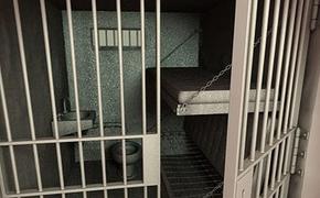 Собачником в Петербурге оказался пенсионер с биографией истязателя