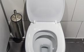 Руководство "Шоколадницы" прокомментировало данные о скрытых камерах в туалете
