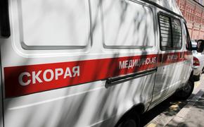 Микроавтобус с детьми разбился в Новосибирской области