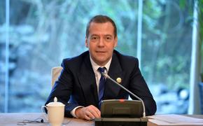 Медведев: программа Единой России может стать стратегией развития РФ на 5 лет