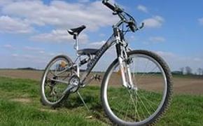 В Москве рассказали о банде велосипедистов, грабивших ломбарды Петербурга