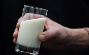 Россельхознадзор: в подделки молочных продуктов добавляют крахмал, мел и гипс