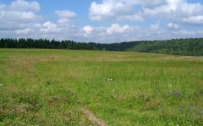 Депутаты назвали неконституционным утверждение Смольным Правил землепользования