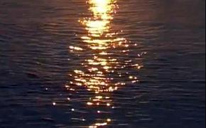 Спасаясь от июльской жары, люди гибнут в реках и водоемах Ленобласти