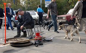В Петербурге мужчина пытался смыть останки соседей в канализацию