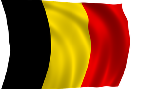 В Бельгии полиция задержала братьев, подозреваемых в подготовке новых терактов