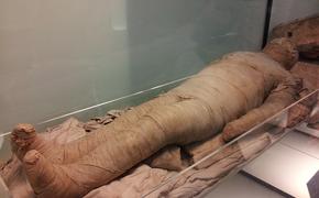Древнюю мумию в кроссовках обнаружили в Алтайских горах