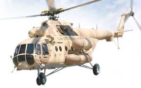 Песков: на разбившемся в Сирии вертолете погибли все