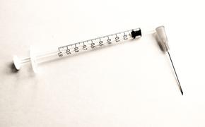 Массовая вакцинация от сибирской язвы будет проведена в Забайкалье