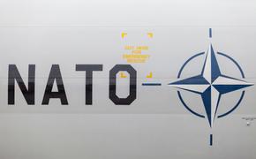 National Interest: НАТО в 5 шагах от того, чтобы поставить Россию на место