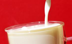 ЕС отказался от украинской «молочки» из-за повышенного содержания антибиотиков