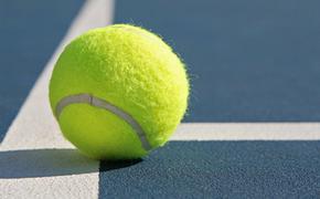 Веснина и Макарова вышли в полуфинал олимпийского парного теннисного турнира