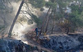 МЧС РФ спасло Португалию от лесных пожаров