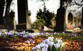 Жители уральского поселка насмерть стоят за свое кладбище (ВИДЕО)