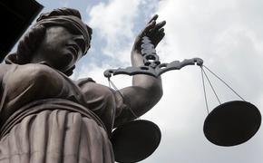 Суд присяжных в США признал Селезнева виновным в кибермошенничестве