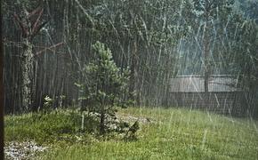 Искусственный дождь собираются вызывать на Байкале