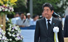 Премьеру Японии предложили стать гидом по Владивостоку