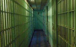 Под Новосибирском дважды судимый мужчина задержан за изнасилование и убийство 12-летней девочки