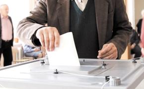 Выбор проголосовавших петербуржцев&nbsp;&ndash; &laquo;Единая Россия&raquo;