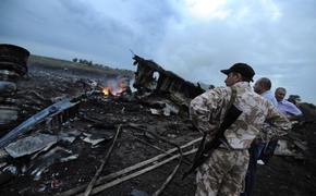 Наливайченко: Вместо малайзийского "Боинга" планировали сбить лайнер "Аэрофлота"
