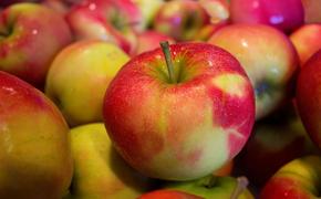 Белоруссия продала России в 5 раз больше яблок, чем вырастила