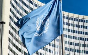 Россия обескуражила ООН альтернативным проектом резолюции по Сирии