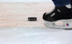 На матче Женской хоккейной лиги произошла массовая драка (ВИДЕО)