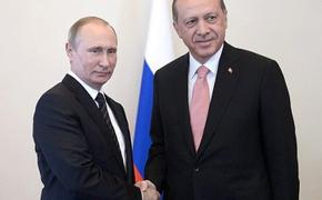 Путин и Эрдоган обсудили проект "Турецкий поток"