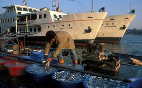 Рыбаков из КНДР, напавших на российских пограничников, доставят в Приморье