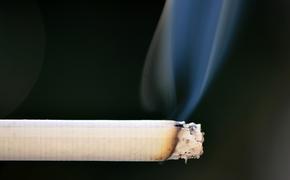 Для борьбы с курением Минсельхоз предложил уменьшить размер сигарет