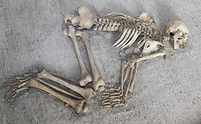 Человеческие кости нашли в заброшенном пионерлагере