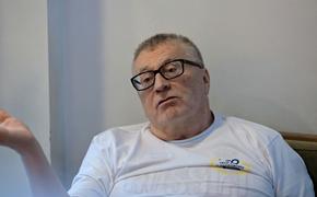 Мизулину и Жириновского включили в санкционный список Киева