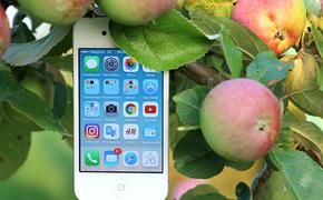 Apple будет обслуживать «устаревшие» iPhone лишь до конца октября