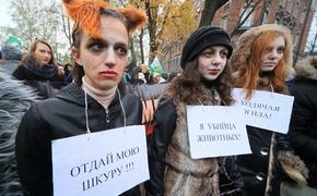 В московском Бирюлеве протестуют зоозащитники