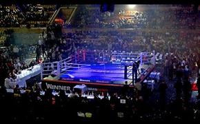 Боксеры-полутяжи в Екатеринбурге сразятся за титул чемпиона WBA