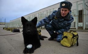В Москве из-за сообщения о бомбе эвакуировали детский сад