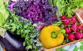 Роспотребнадзор проверил овощи на содержание нитратов и пестицидов