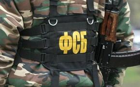 В торговом комплексе Санкт-Петербурга сотрудники ФСБ задержали двоих посетителей