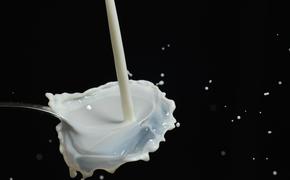 Роспотребнадзор потребовал изъять из продажи 4000 тонн «молочки» из-за ящура