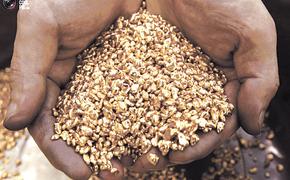 На Колыме местные жители &laquo;моют&raquo; золото килограммами