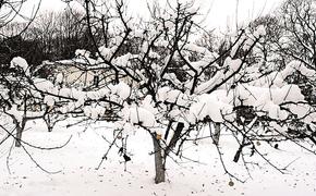 Крыша со свистом